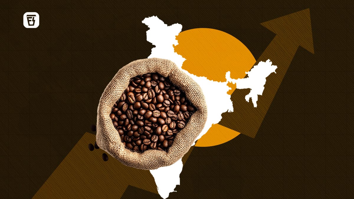 Coffee Export